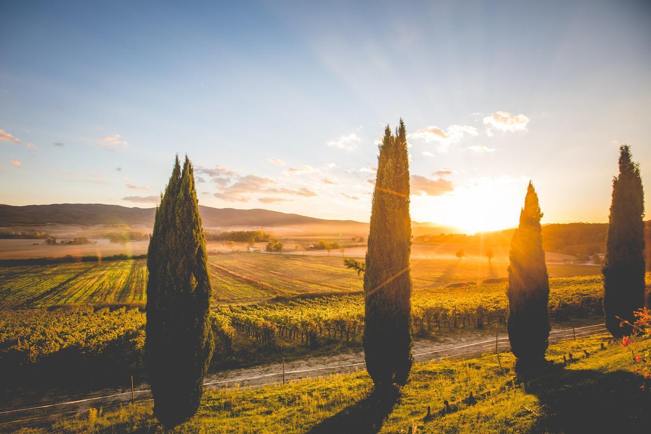 Casali Di Bibbiano Buonconvento Exterior foto